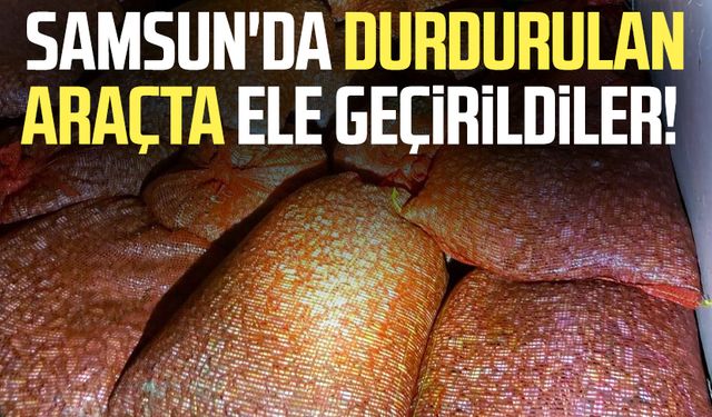 Samsun'da durdurulan araçta ele geçirildiler!