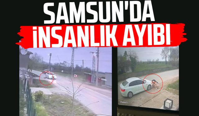Samsun'da insanlık ayıbı