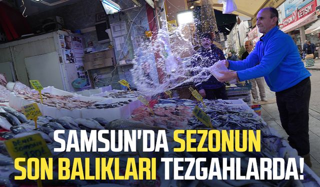 Samsun'da sezonun son balıkları tezgahlarda!