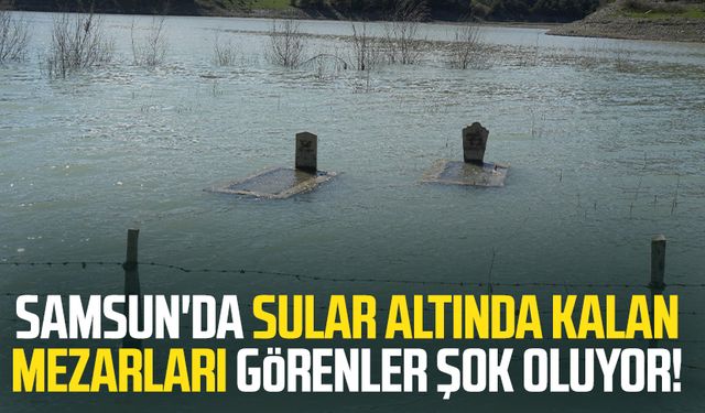Samsun'da sular altında kalan mezarları görenler şok oluyor!