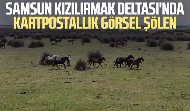 Samsun Kızılırmak Deltası'nda kartpostallık görsel şölen