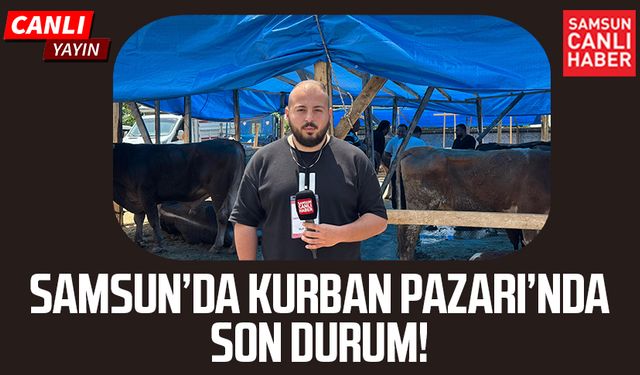 Samsun'da Kurban Bayramı öncesi hayvan pazarında son durum