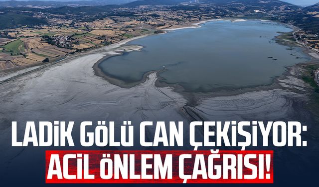 Ladik Gölü can çekişiyor: Acil önlem çağrısı!
