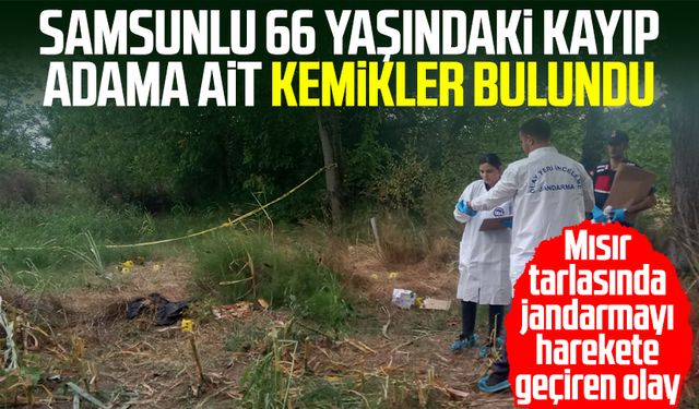 Mısır tarlasında dehşet! Samsunlu kayıp Cafer Ak’a ait kemikler bulundu