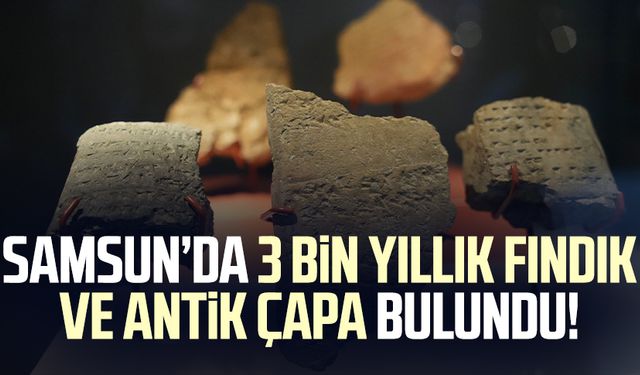 Samsun’da 3 bin yıllık fındık ve antik çapa bulundu!