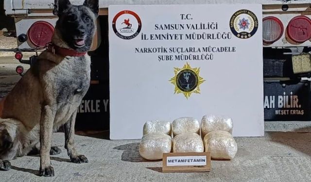 Kamyonete gizlenmiş uyuşturucuyu dedektör köpeği buldu: 4 kilo uyuşturucu ve 4 bin adet hap ele geçti