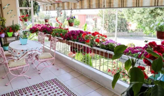 Atakum–İlkadım–Canik’te Balkon Bahçeciliği