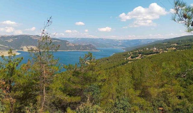 Karadeniz’de Eko Turizm: Samsun’da Doğayla Uyumlu Seyahat Rehberi