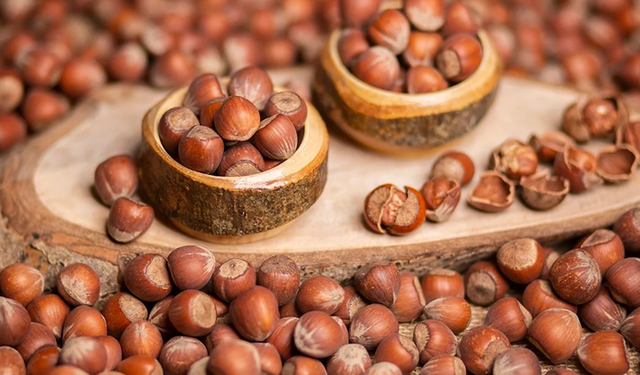 Salıpazarı’nda Fındık, Bal ve Köy Ürünleri Rehberi