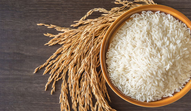 Terme’de Mısır, Pirinç ve Sebze Üretimi ve Köy Ekonomisi