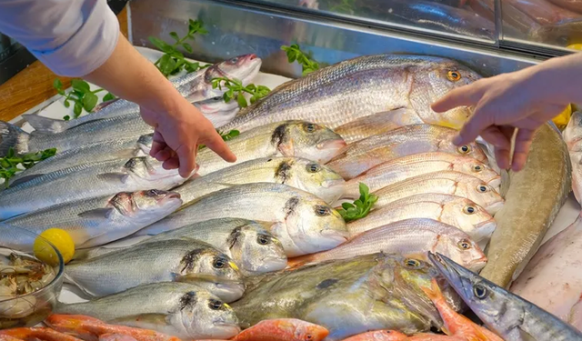 Yakakent’te Denizden Sofraya: Karadeniz Balık Hikayeleri