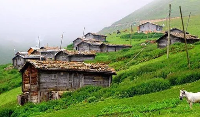 Kasım’da Çiftlik Ziyareti: Hayvancılık ve Köy Lezzetleri