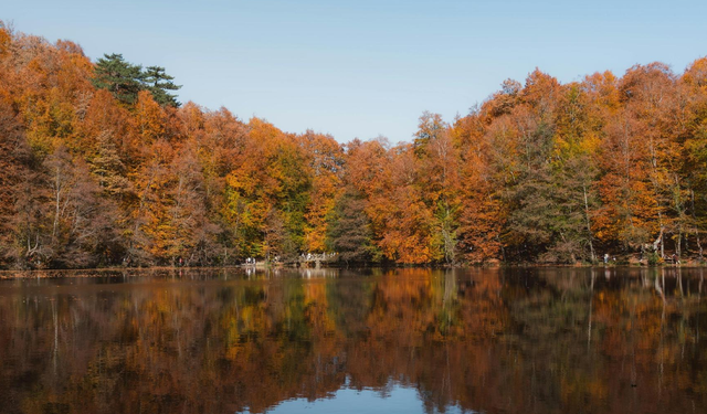 Kasım’da Sonbahar Renkleriyle Sahil-Orman Gezisi ve Yerel Tatlar