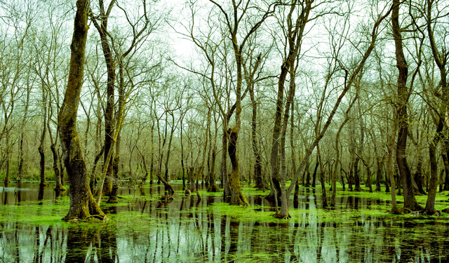 Samsun’da Ücretsiz Gezilebilecek 10 Yer