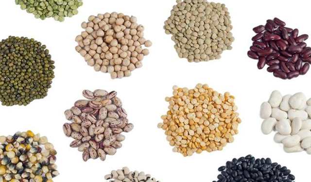 Samsun’da Tohum Takası ve Yerel Tohum Koruma Ağları