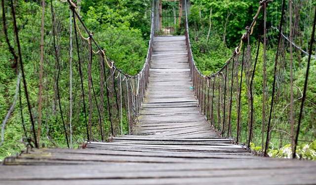 Samsun’da Çocuklarla Doğa: Ücretsiz 1 Günlük Eğitimli Rota