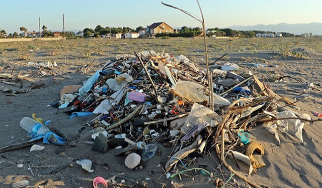 Sahil Pikniğinde Çöp Bırakmama: 10 Basit Kural