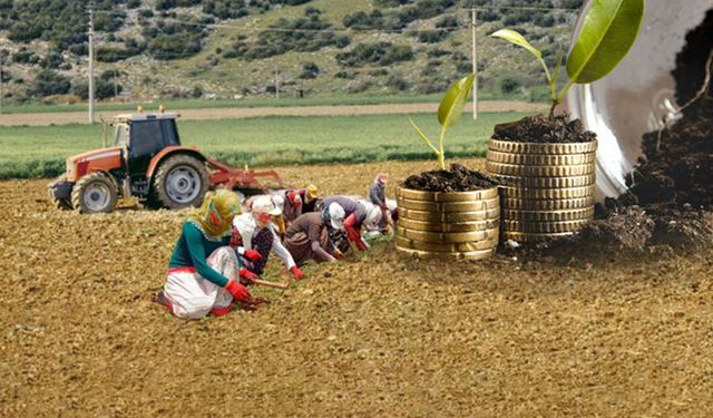 Samsun Ticaret Borsası ve Odalarının Şehre Katkısı