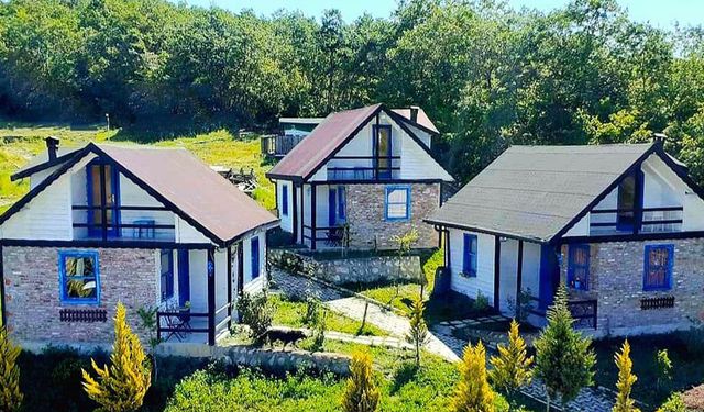 Yayla Kültürü ve Doğal Yaşam: Samsun’un Dağ Evleri Hikayesi