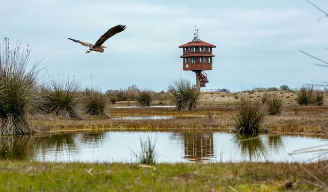 Samsun’da Çocuklarla Kamp Yapmak: Ailelere Özel Güvenli Alanlar