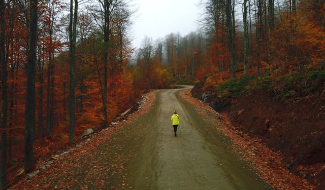 Nebiyan Dağı Yürüyüş Parkuru: Zorluk Derecesi ve Manzara Noktaları