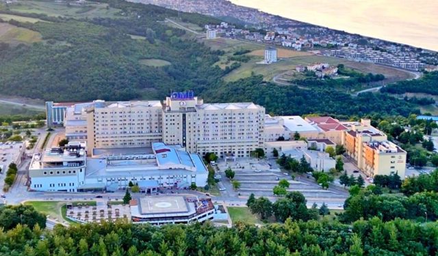 OMÜ ve SAMÜ Karşılaştırması: Hangi Üniversite Ne Sunuyor?