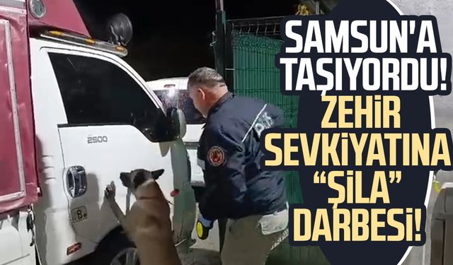 Samsun'a taşıyordu! Zehir sevkiyatına "Şila" darbesi!