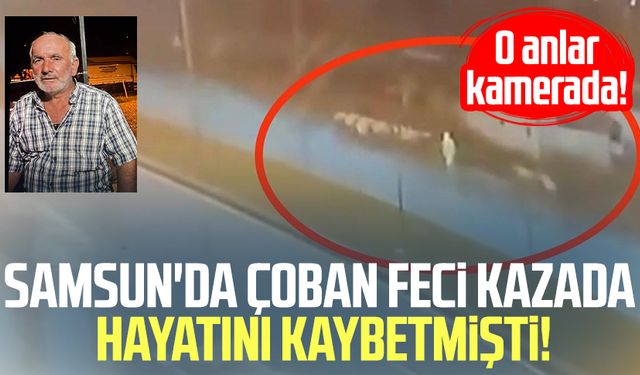 Samsun'da çoban Ali Şener kazada hayatını kaybetmişti: O anlar kamerada!