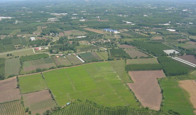 Çarşamba Ovası’nda Agroekoloji ve Toprak Sağlığı