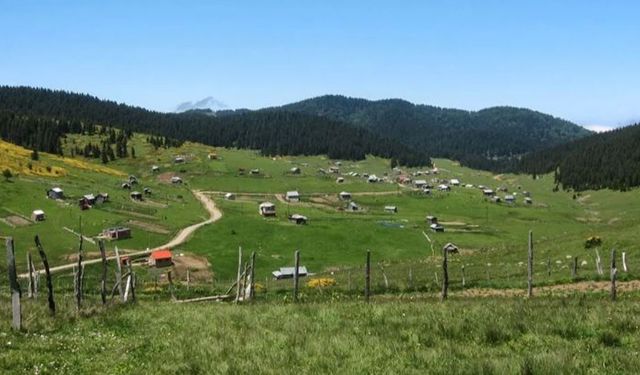 Samsun’un En Güzel Trekking Rotaları: Doğa ve Tarih İç İçe