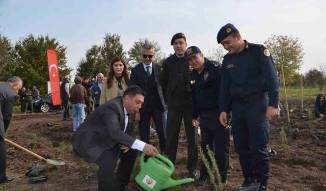 Bafra’da 8 bin fidan toprakla buluştu