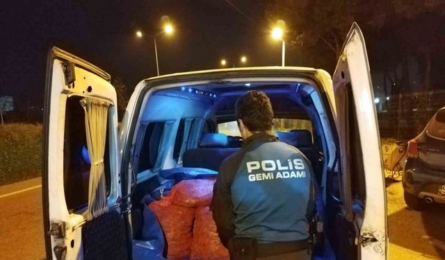 Samsun’da 200 kilo kaçak midye ele geçirildi