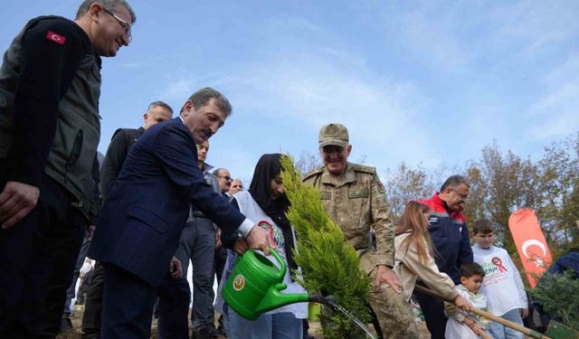Samsun’da Milli Ağaçlandırma Günü: 37 bin 380 adet fidan toprakla buluştu