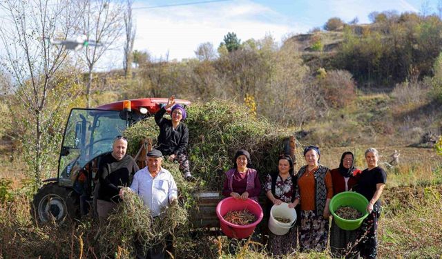 Üreticiden ihtiyaç sahiplerine uzanan dayanışma ağı