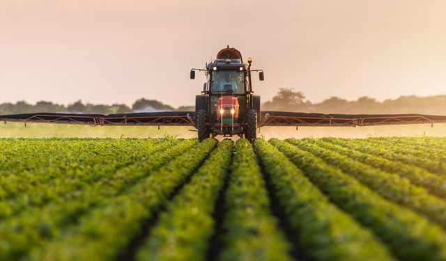 19 Mayıs’ta tarım ve balıkçılığın günlük hayata etkisi