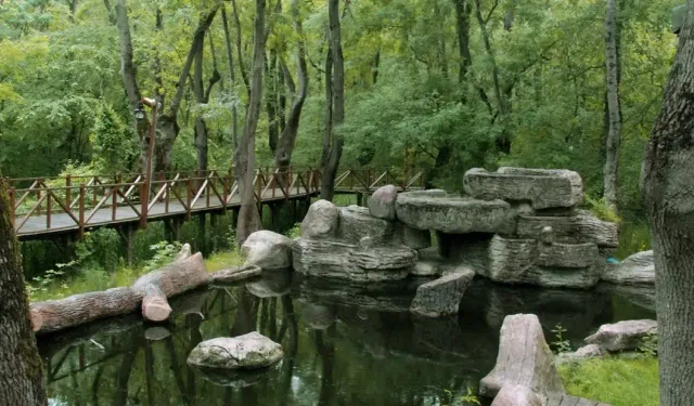 Samsun’da Görülmesi Gereken 15 Doğal Güzellik