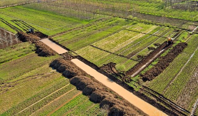 Çarşamba Ovası’nda yeşilin her tonu