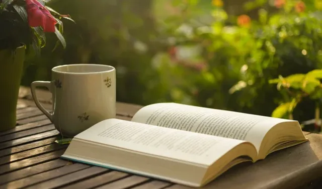 samsun’da kış akşamları için film, kitap ve çay önerileri