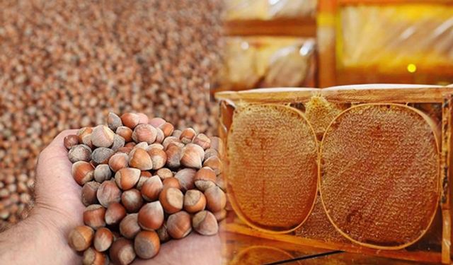 Salıpazarı’nda Fındık, Bal ve Köy Pazarı Kültürü