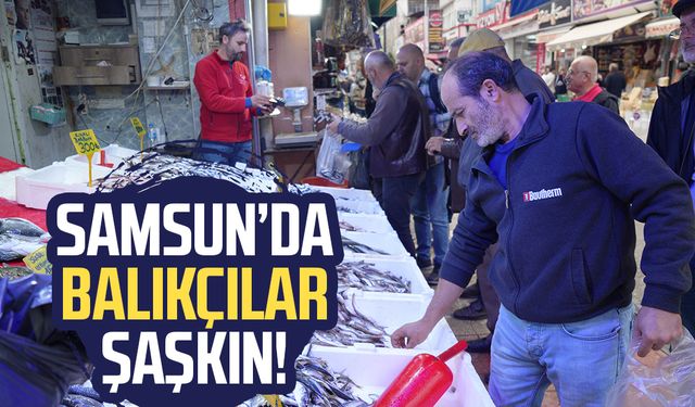 Samsun'da balıkçılar şaşkın! Fiyat azaldı ama...