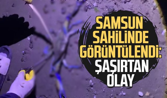 Samsun sahilinde görüntülendi: Şaşırtan olay