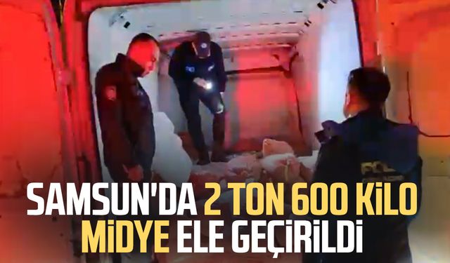 Samsun'da 2 ton 600 kilo midye ele geçirildi