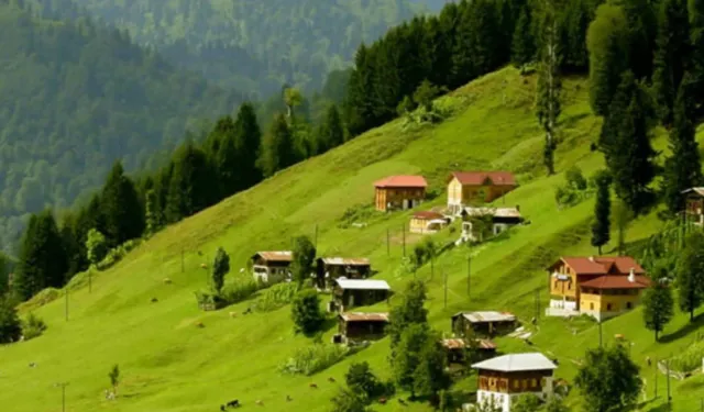 Samsun’un En Sessiz Yaylaları: Şehirden Uzaklaşmak İsteyenlere