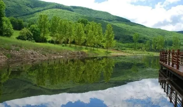 Samsun’da Sürdürülebilir Yaşam: Doğa Dostu Alışkanlıklar