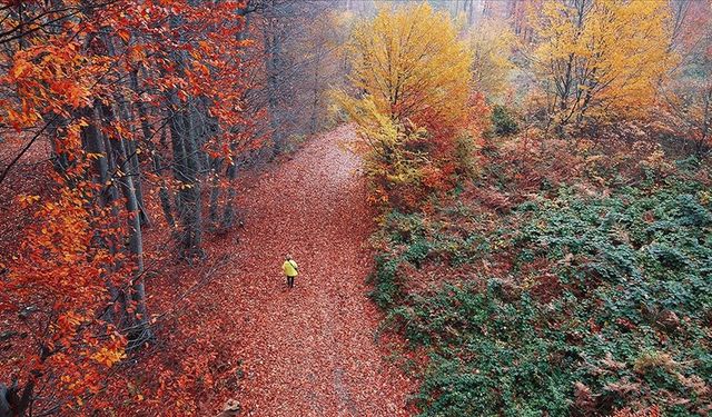 Nebiyan Dağı’nda Bulutların Üzerinde Yürüyüş Keyfi