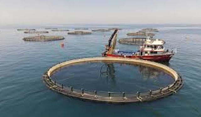 Yakakent’te Kış Denizi ve Balıkçıların Günlük Yaşamı