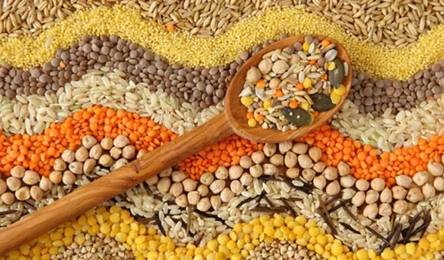 Samsun’da Günlük Yemeklerde Sebze ve Bakliyat Dengesi