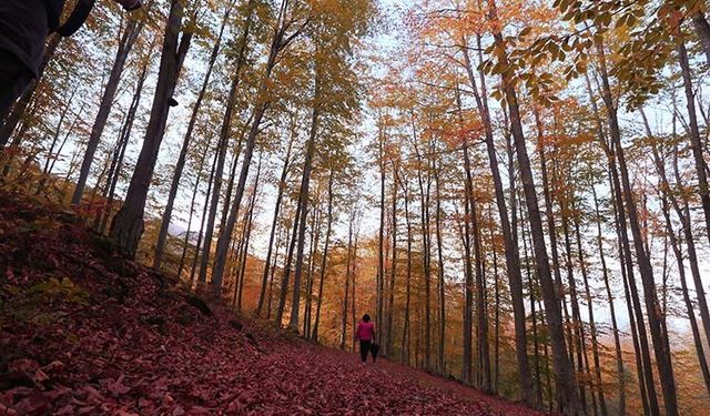 Samsun’un Mevsimlere Göre Değişen Doğal Güzellikleri