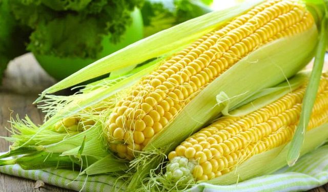 Samsun Mutfağında Mısırın Temel Besin Olarak Kullanımı