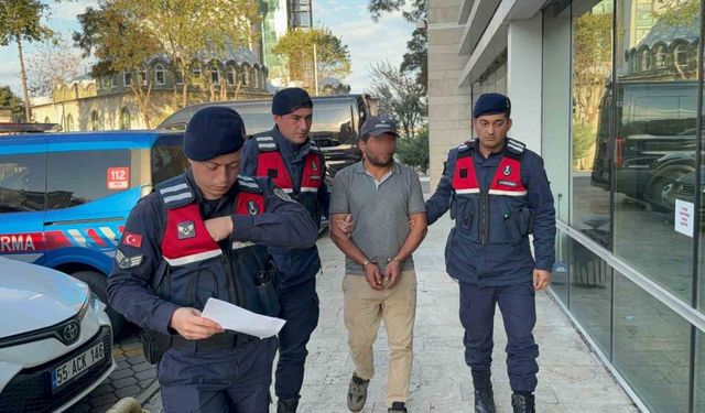 Ağaç kesimi sırasında komşusunun ölümüne sebep olan şahıs tutuklandı